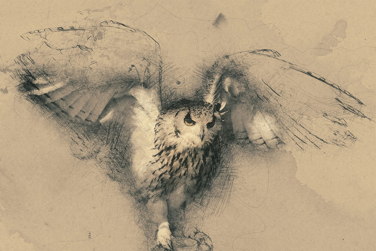 Hand Drawn Photoshop Action, an Action Add-On by Sevenstyles (Photo 8 of 13)