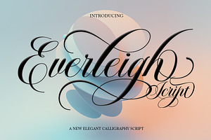 Everleigh Script