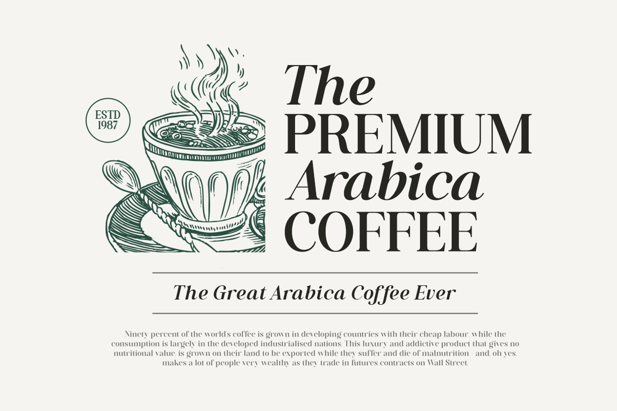 Latest Perfectly Serif Font, a Serif Font by HansCo Studio (Photo 5 of 11)