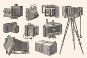 Photography - Vintage Illustrations, an Illustration by Graphic Goods (Thumbnail 5 of 11)