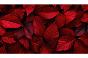 background red natural abstract, an Abstract Photo by pikepicture