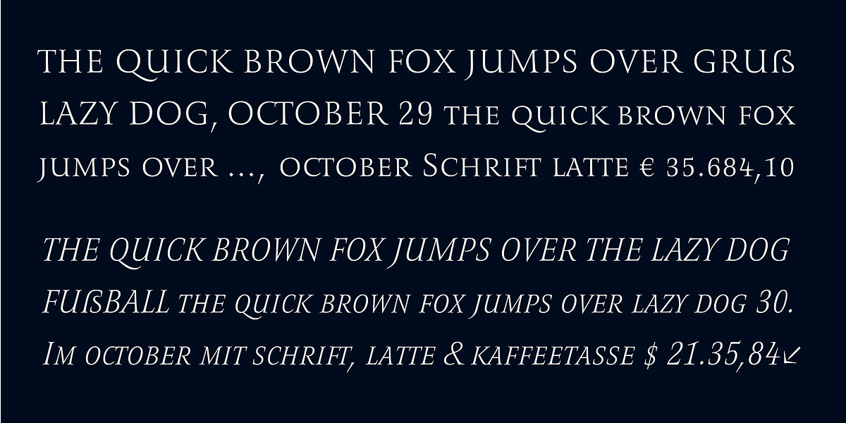 Romis, a Serif Font by Finaltype (Photo 3 of 22)