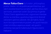 Alternative SH Sans Serif, a Sans Serif Font by Luxima (Thumbnail 4 of 20)