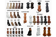 Dog Mom, Best friends Clipart PNG, a Person Illustration by Podcliparts (Thumbnail 3 of 7)