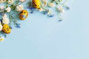 Easter flat lay. Stylish easter eggs and spring flowers on blue, a Holiday Photo by Sonjachni