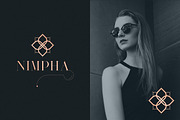 RoseGold Serif font + 10 Logos, a Serif Font by VP Fonts (Thumbnail 9 of 20)