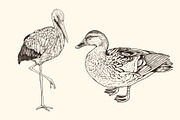 Hand Drawn Animals, an Animal Illustration by Artspace (Thumbnail 3 of 6)