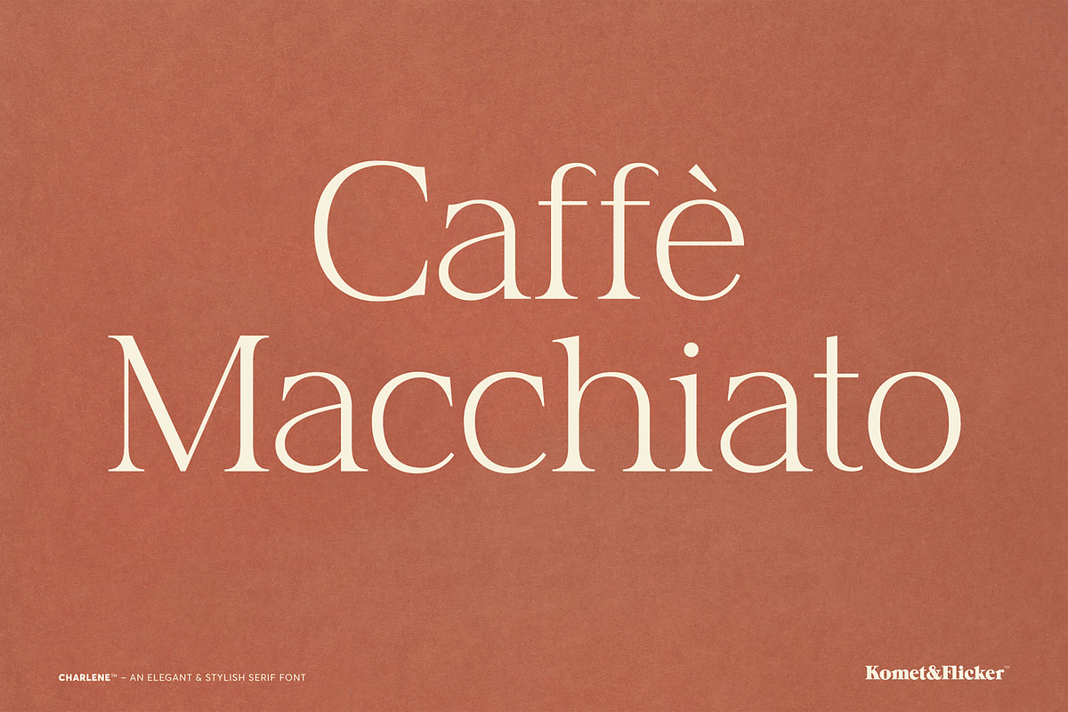 Charlene - An Elegant & Stylish Font, a Serif Font by Komet & Flicker (Photo 4 of 16)