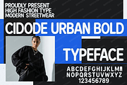 Cidode | Modern Elegant Serif, a Script Font by Astuti Studio (Thumbnail 1 of 24)