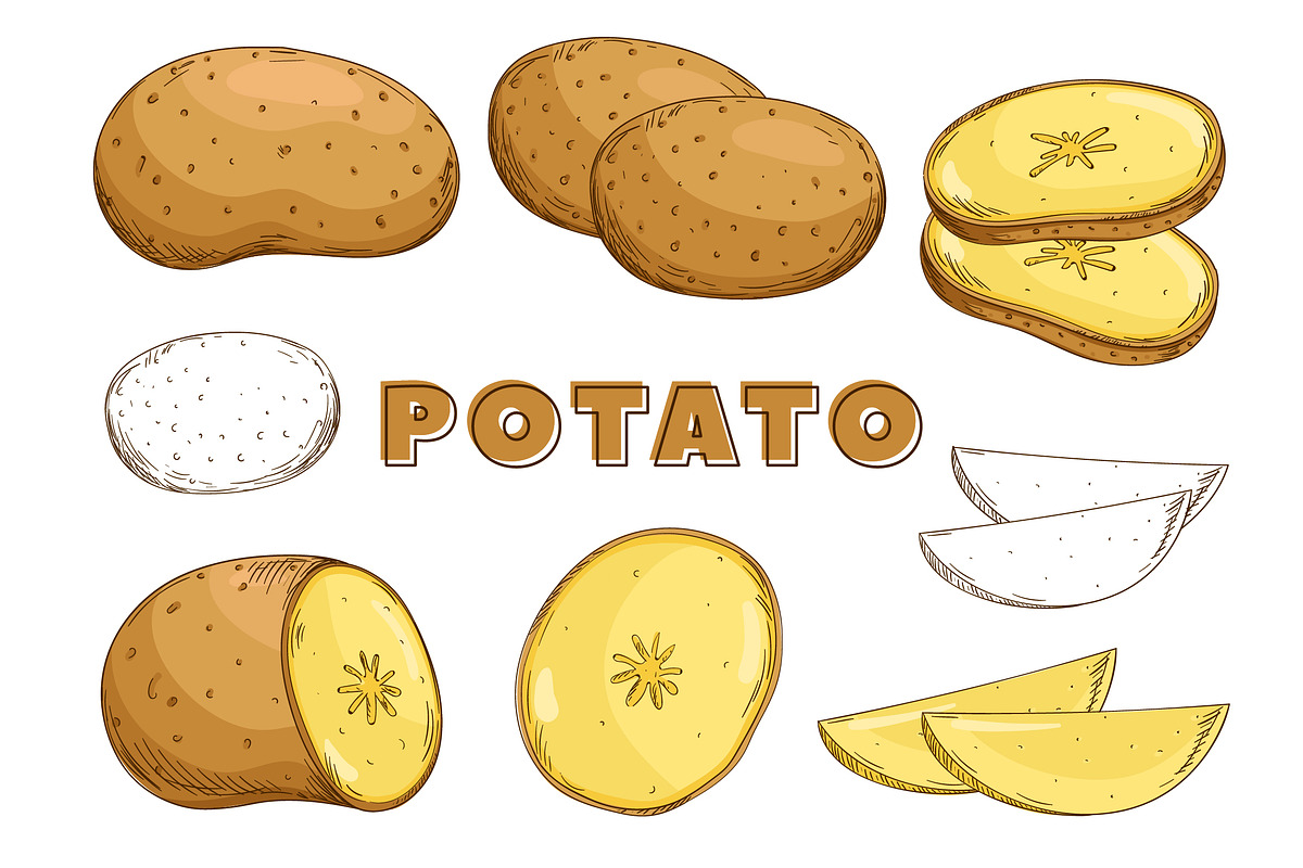 Vegetables in the Vintage Style, a Healthcare Illustration by Alfazet Chronicles (Photo 3 of 15)