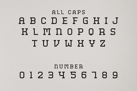 Mihrip, a Serif Font by lelevien