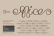 Flourel, a Script Font by Gleb Guralnyk (Thumbnail 8 of 11)