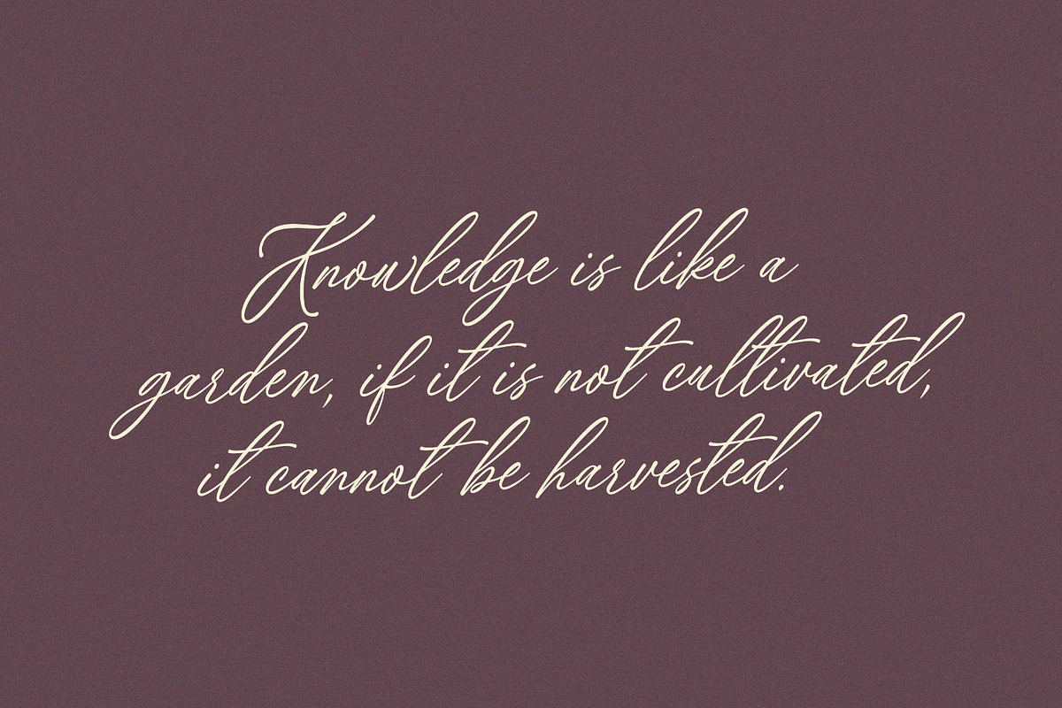 Ms. Chelsea - Chic Calligraphy Font, a Script Font by Subectype Studio (Photo 2 of 9)