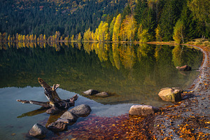 Autumn scenery with colorful forest, a Nature Photo by Alpine Dreams