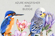 Australian Native Birds Clipart PNG, an Animal Illustration by Pawcasso's Portraits (Thumbnail 2 of 7)