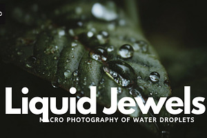 Liquid Jewels – Macro Photography, a Nature Photo by Virgo Studio