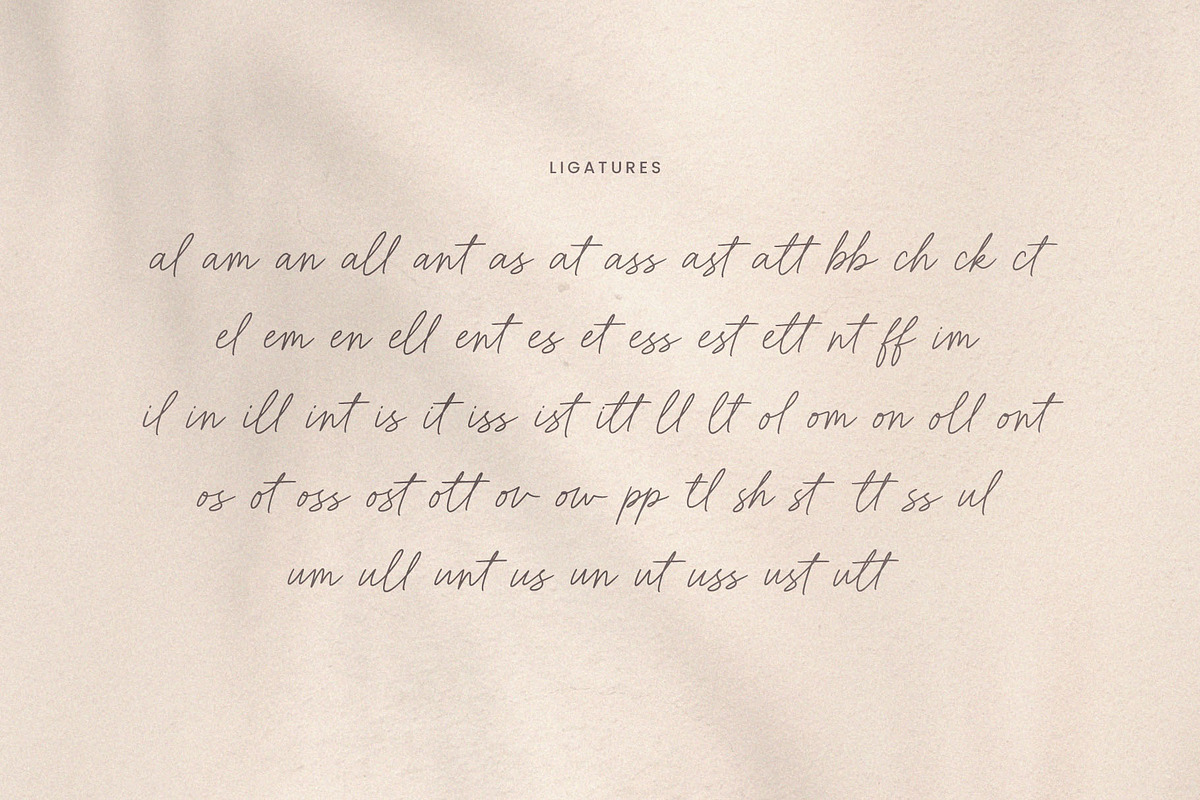 Rickmond Handwritten Font, a Script Font by Seagulls Creative (Photo 12 of 12)