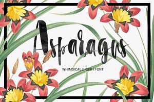 Asparagus - Whimsical Brush Font