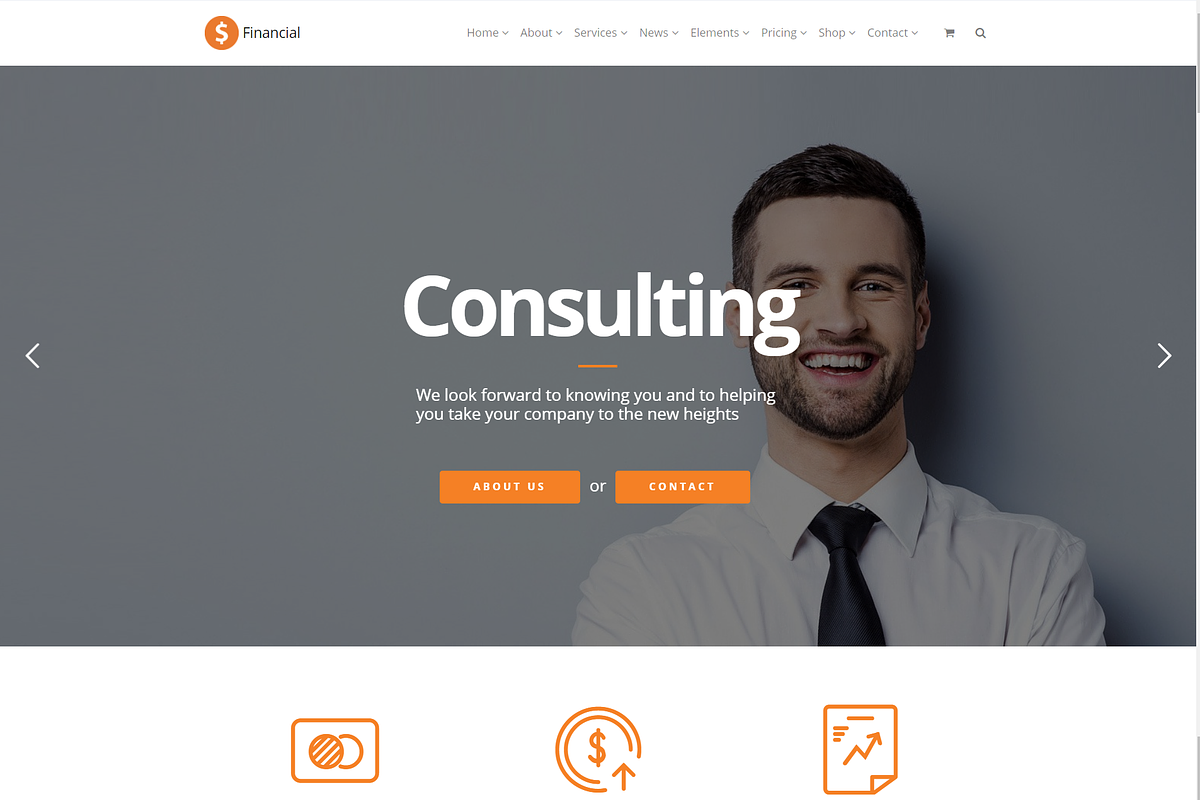 Financial Accounting WordPress Theme, a WordPress Template by Visualmodo (Photo 13 of 41)