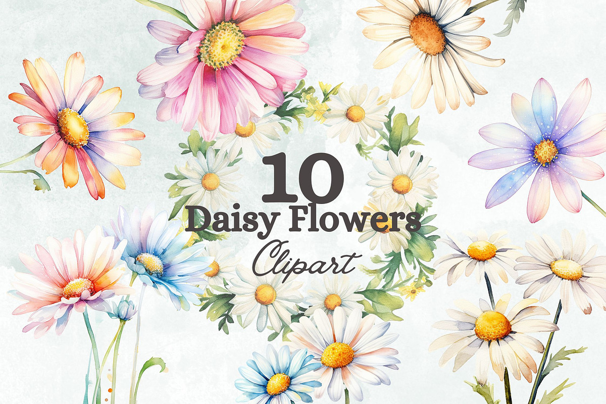 Daisy Flowers Watercolor Clipart Set, a Decorative Illustration by Loony Dream Designs (Photo 1 of 4)