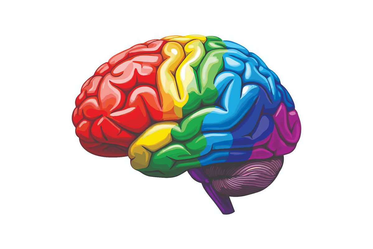 Multiple Sclerosis Awareness Brain, a Person Illustration by Designer_Momina (Photo 10 of 16)