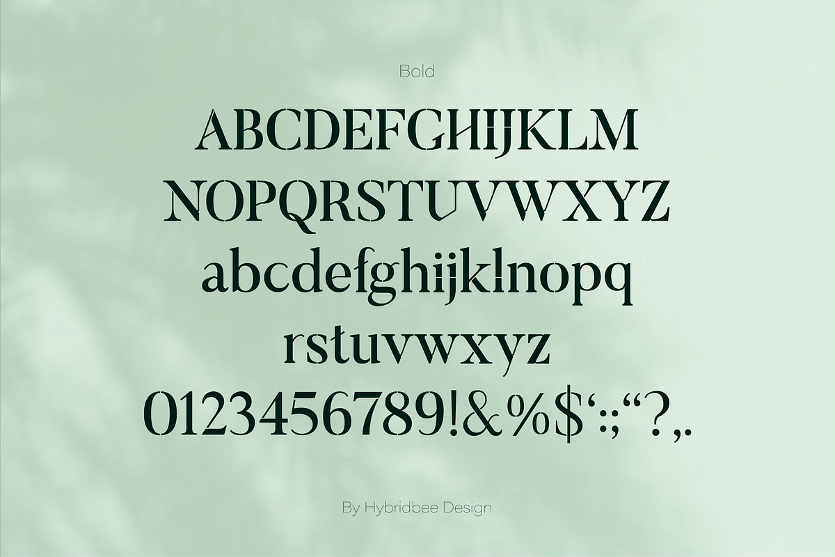 ELAYNE - Display Serif Font, a Serif Font by Hybridbee Design (Photo 7 of 10)