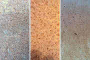 WMC Fest 5 texture pack, a Texture Graphic by The Shop (Thumbnail 24 of 36)