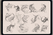 63 koifish Coloring   brush stamp, a Brush Add-On by TaKong Magics (Thumbnail 3 of 4)