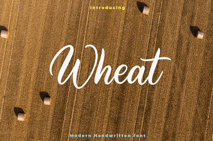 Wheat Script