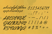 Cascade Script, a Handwritten Font by Lilithcollageart (Thumbnail 6 of 9)
