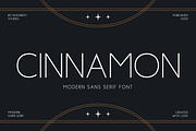 Cinnamon - Advertisement Font, a Sans Serif Font by RockboyStd (Thumbnail 1 of 12)