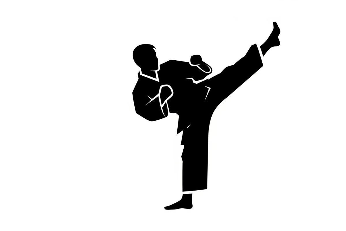 Dynamic martial arts kick silhouette, an Illustration by Amazin_art (Photo 3 of 36)