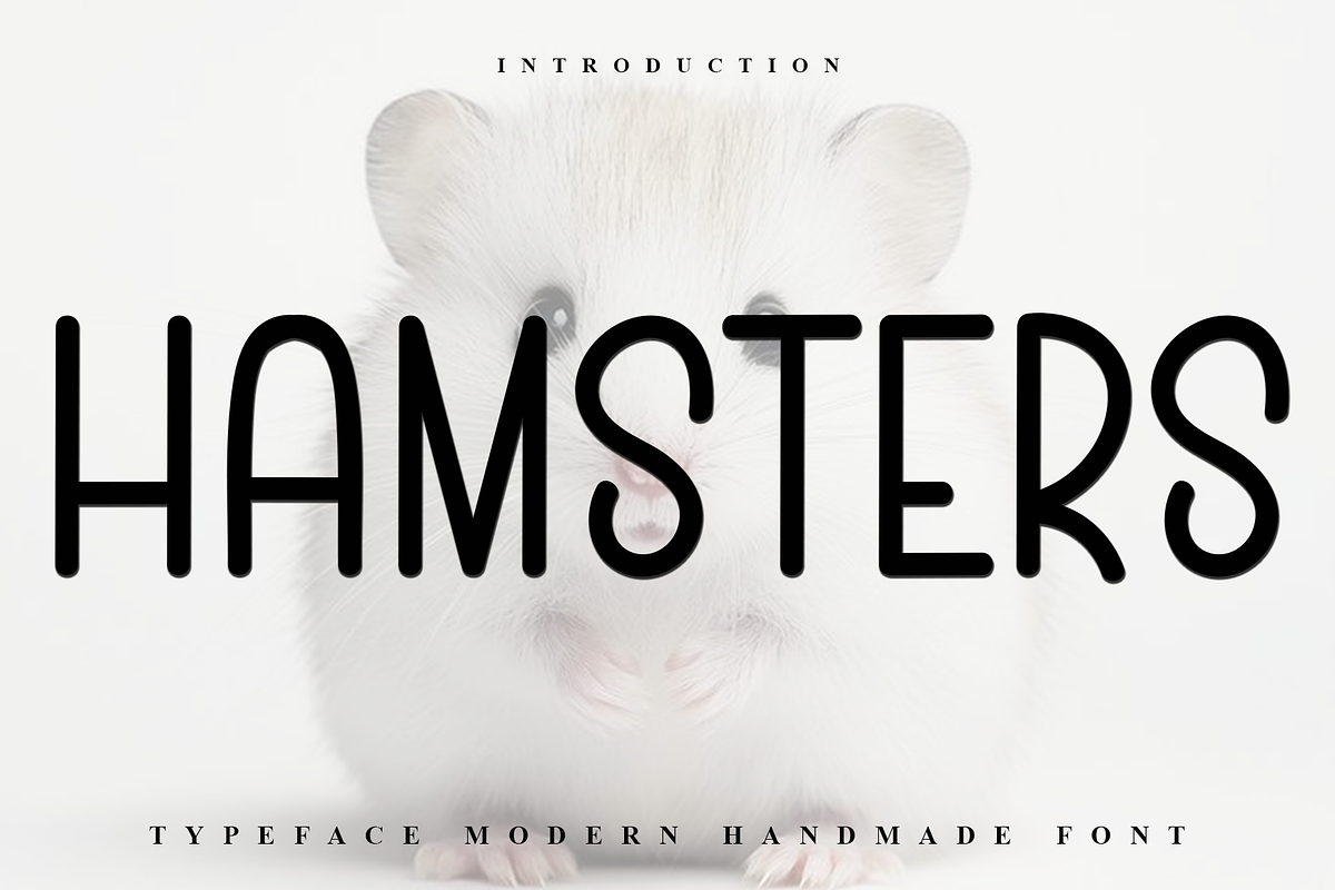 Hamsters, a Sans Serif Font by InermediaSTUDIO (Photo 1 of 7)