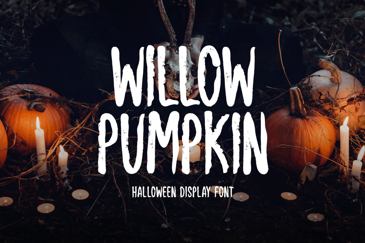 Willow Pumpkin Typeface, a Script Font by Seemly Fonts (Photo 1 of 5)