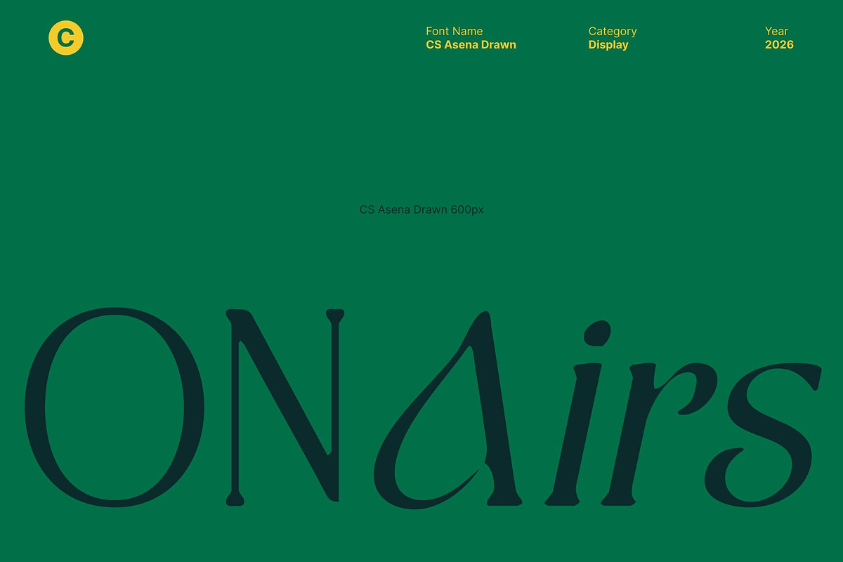 CS Asena Drawn, a Serif Font by Craft Supply Co. (Photo 3 of 8)