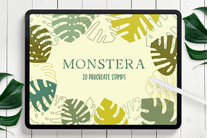 Monstera Procreate Stamps