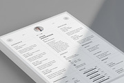 Clean Resume Template, a Resume Template by Designsoul14 (Thumbnail 3 of 6)