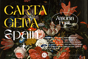 AMORIA Font Display Sans Serif, a Sans Serif Font by Guna Studio (Thumbnail 11 of 12)