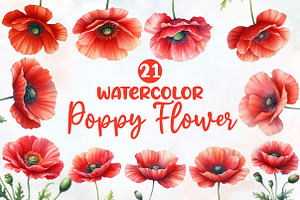 Watercolor Poppy Flower clipart, an Illustration by Designworld