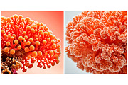 SET Sea coral Underwater Background, a Background Graphic by IrySha (Thumbnail 5 of 6)