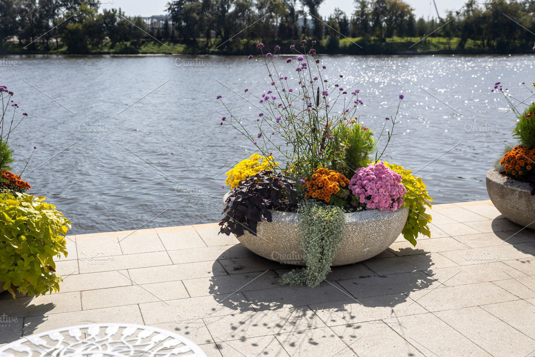 Colorful flower arrangement, a Nature Photo by Imaginarium