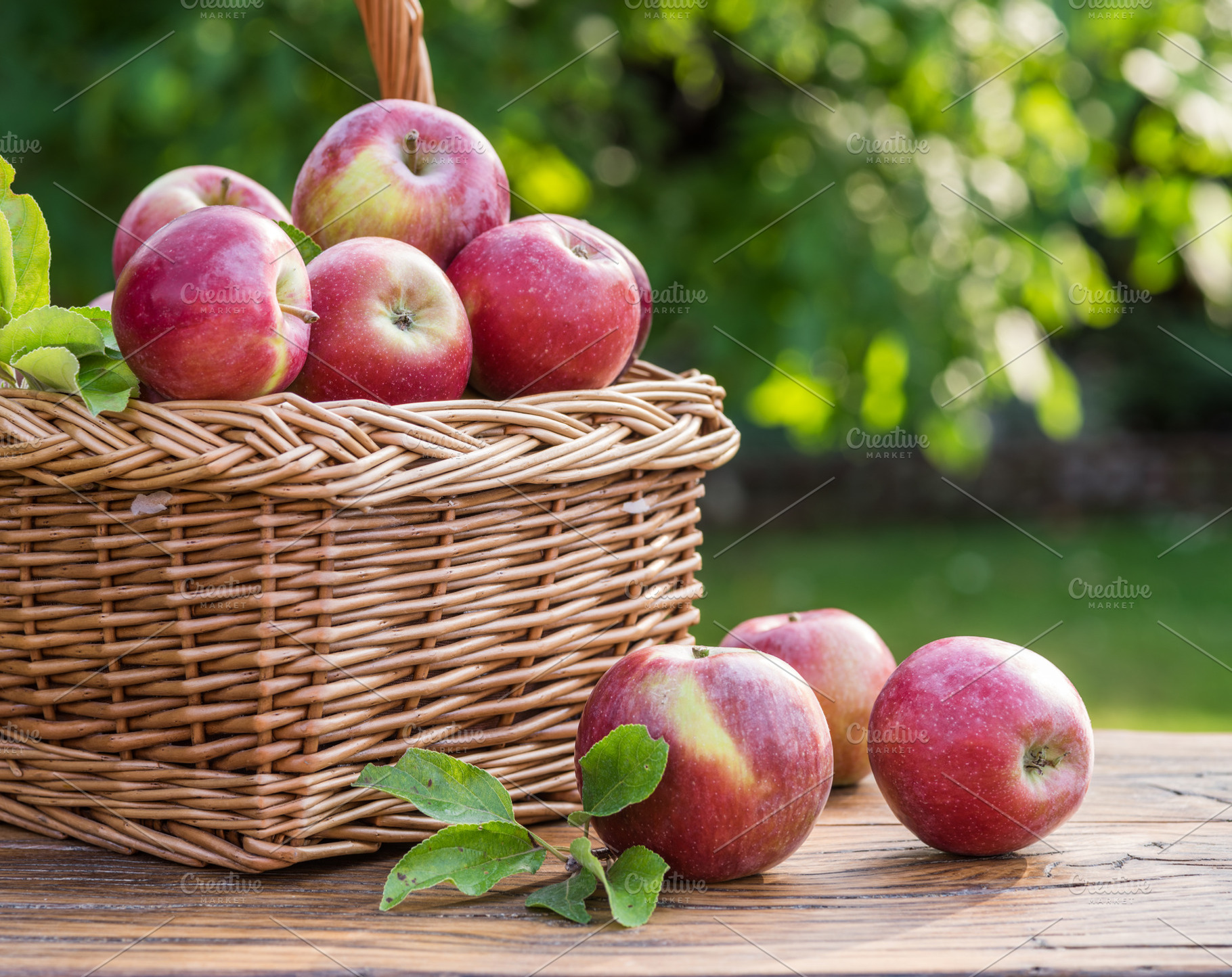 Ripe apples in the wicker basket, a Food & Drink Photo by Volff