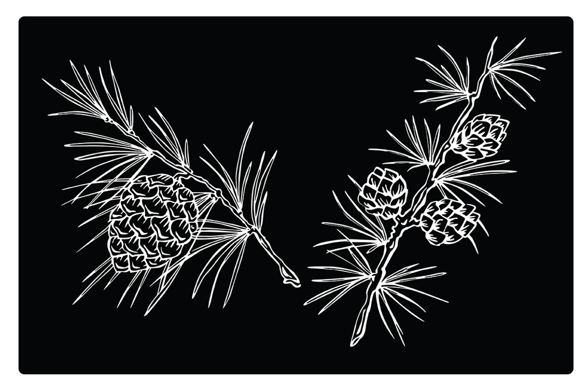 Vector silhouettes of fir branches, an Illustration by risovanya (Photo 3 of 3)
