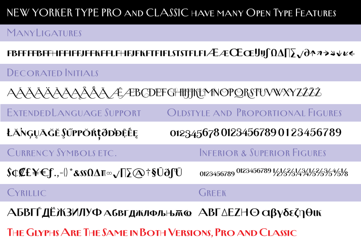 New Yorker Type - Classic and Pro preview 7
