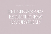 FLOWRISE || Display Ligature Serif, a Serif Font by ToniStudio (Thumbnail 13 of 13)