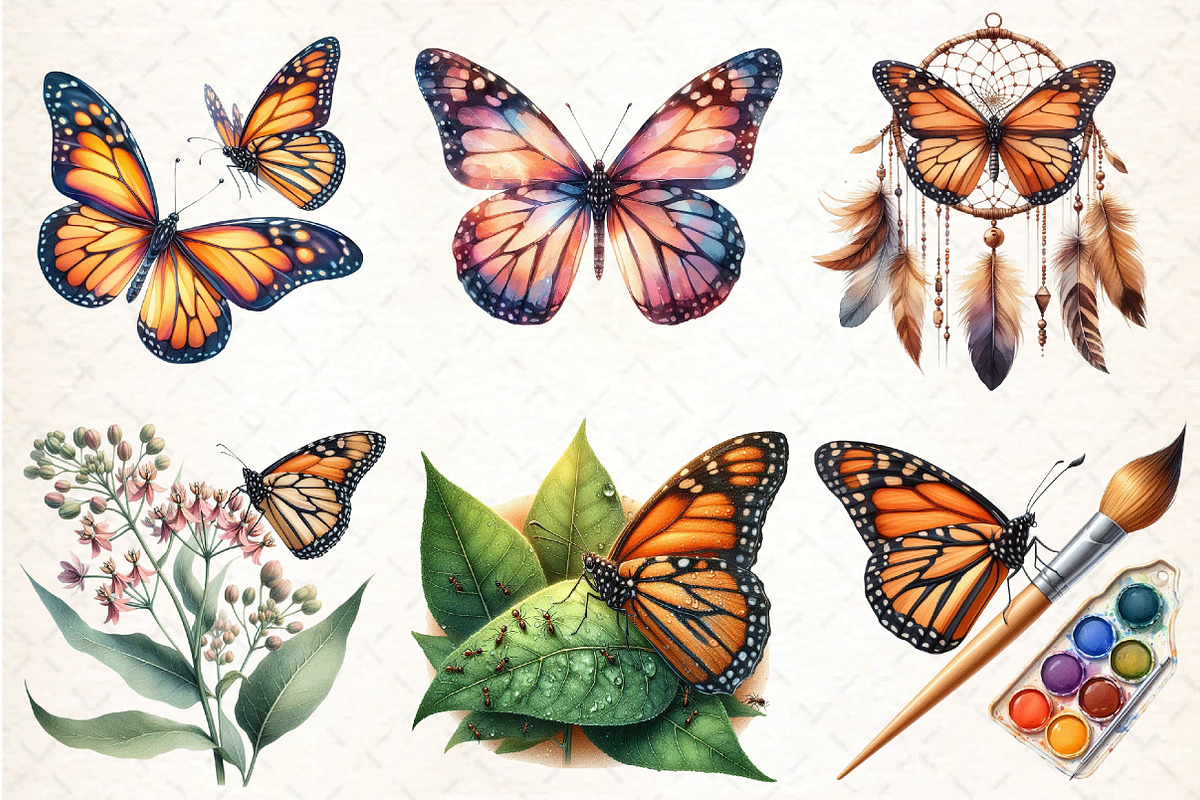 Watercolor Monarch Butterfly Clipart, an Illustration by DreamCafeArt (Photo 3 of 7)
