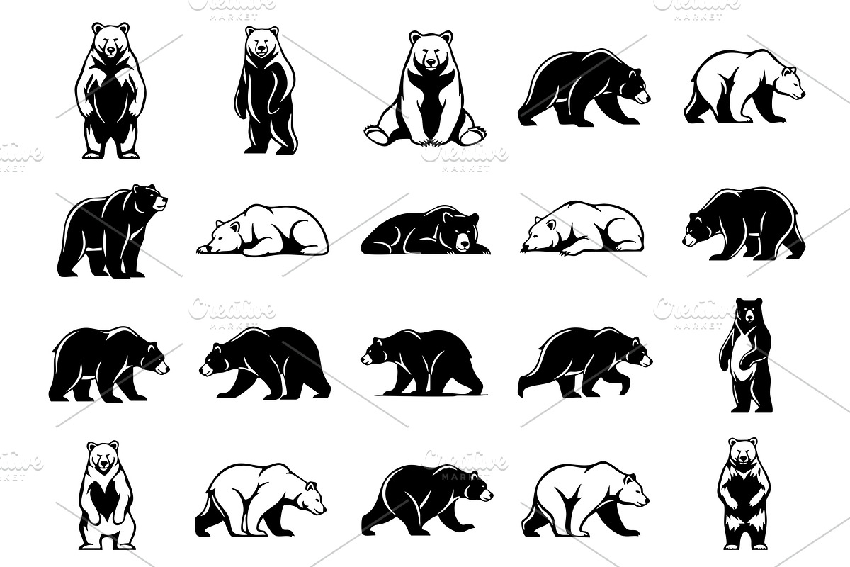 Vector of bear in various poses., an Animal Illustration by yod67