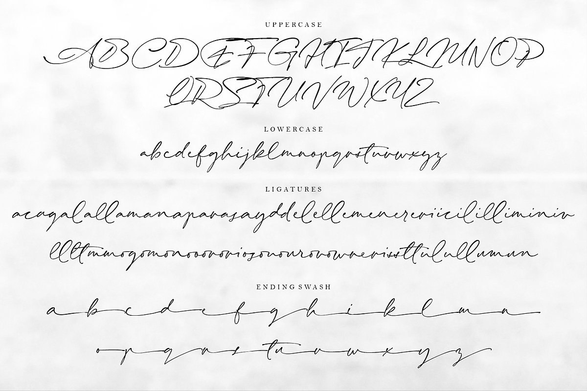 Eaton – A Signature Font, a Script Font by RedyStudio (Photo 11 of 11)