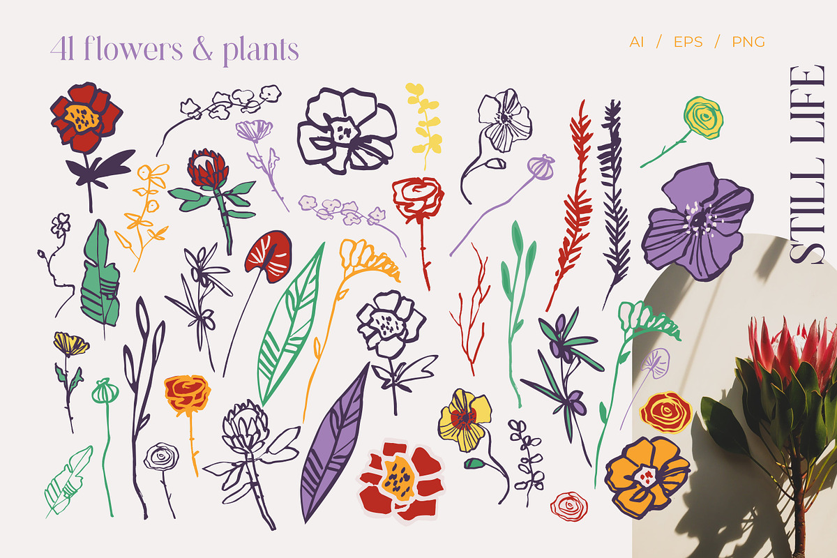 Still life creator patterns & poster, an Object Graphic by yttadesign (Photo 11 of 15)