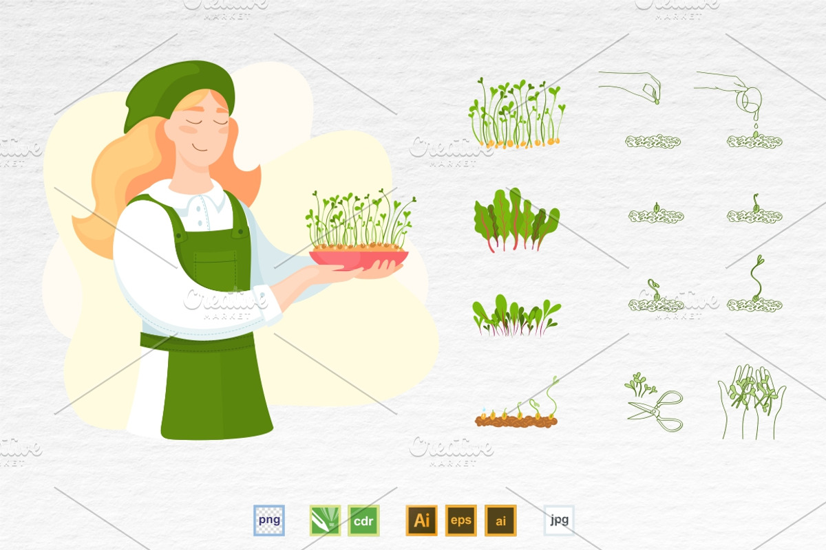 Microgreens Vector Set 1, a Food Illustration by ElenaKovalyova (Photo 20 of 21)